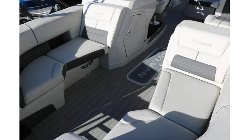 Slide: The Image of Sylvan G3 CLZ DH Tri Toon 2025 - 16