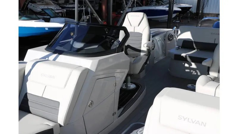 Slide: The Image of Sylvan G3 CLZ DH Tri Toon 2025 - 19