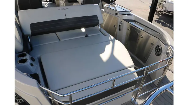 Slide: The Image of Sylvan G3 CLZ DH Tri Toon 2025 - 20