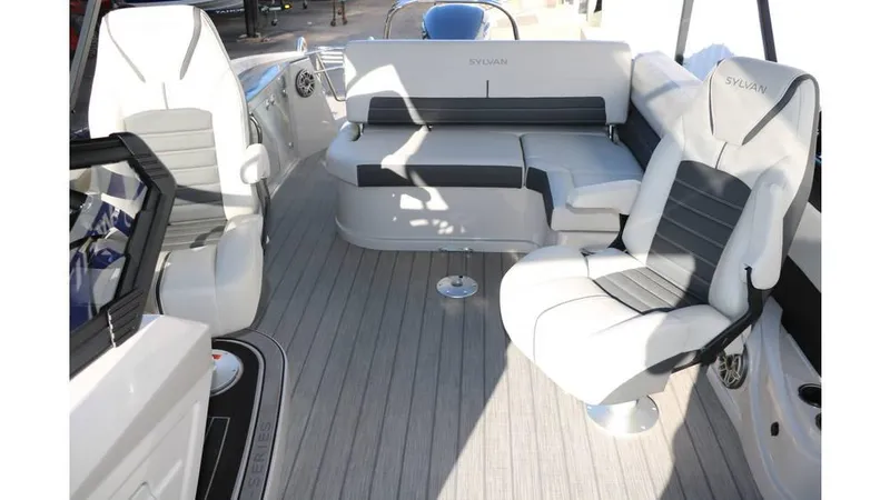 Slide: The Image of Sylvan G3 CLZ DH Tri Toon 2025 - 30