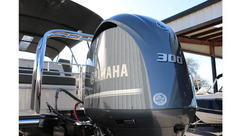 Slide: The Image of Sylvan G3 CLZ DH Tri Toon 2025 - 6