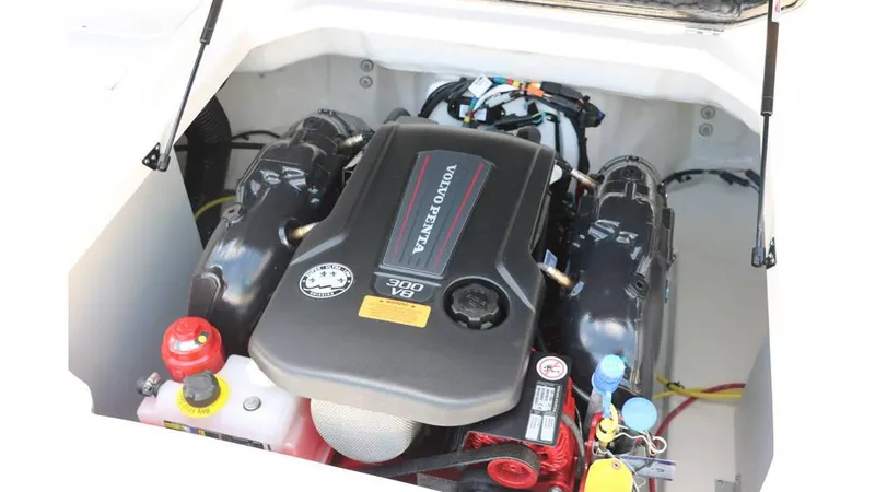 Slide: The Image of Chaparral 23 Surf 2025 - 32