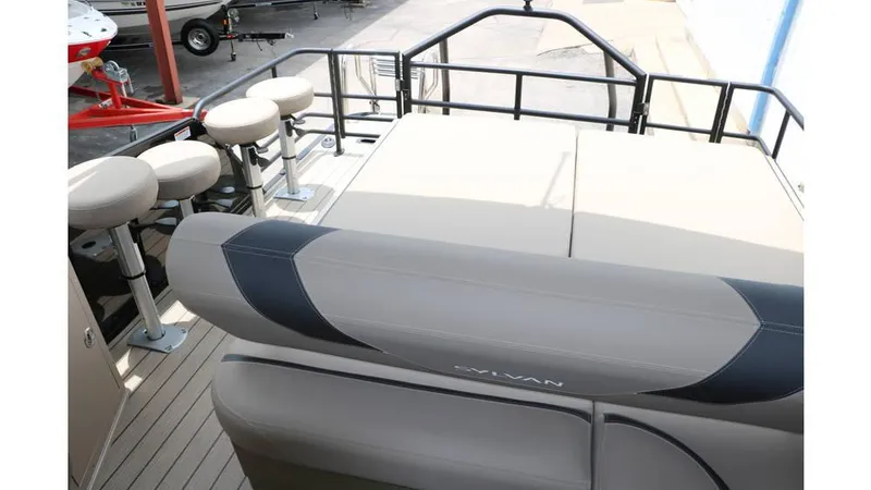 Slide: The Image of Sylvan L3 DLZ Bar Tri Toon 2025 - 39