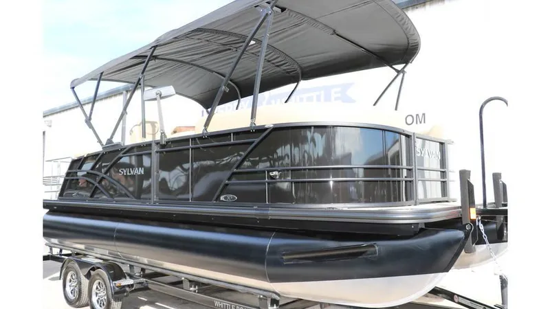 Slide: The Image of Sylvan Mirage X3 CLZ DH Tri Toon 2025 - 11