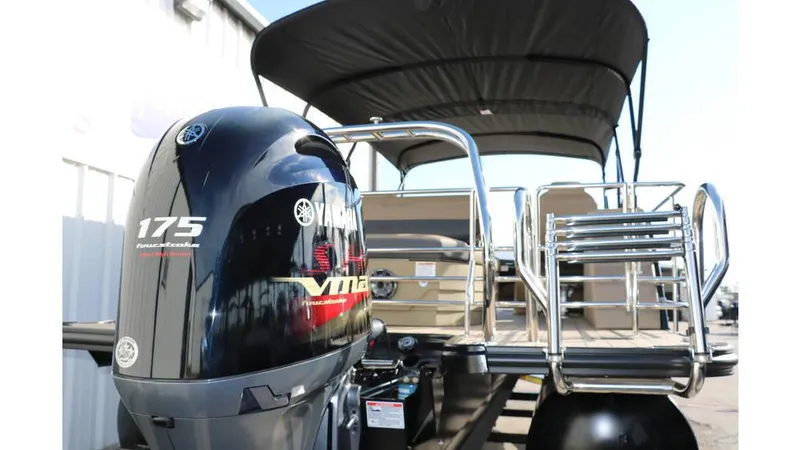 Slide: The Image of Sylvan Mirage X3 CLZ DH Tri Toon 2025 - 5