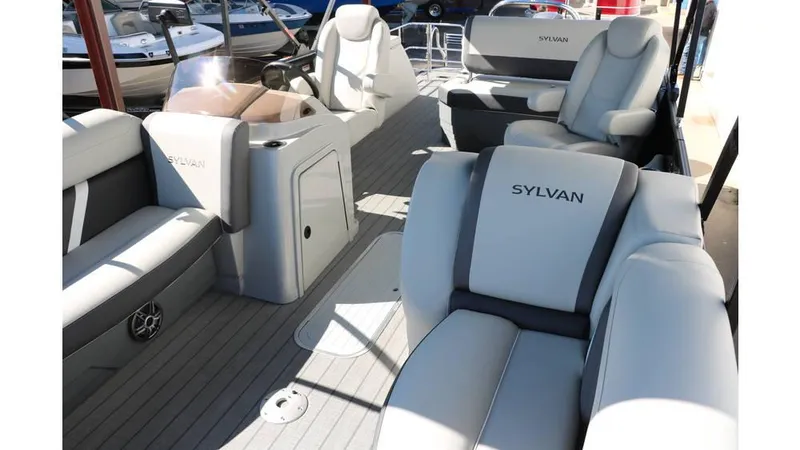 Slide: The Image of Sylvan Mirage X3 CLZ DH Tri Toon 2025 - 17