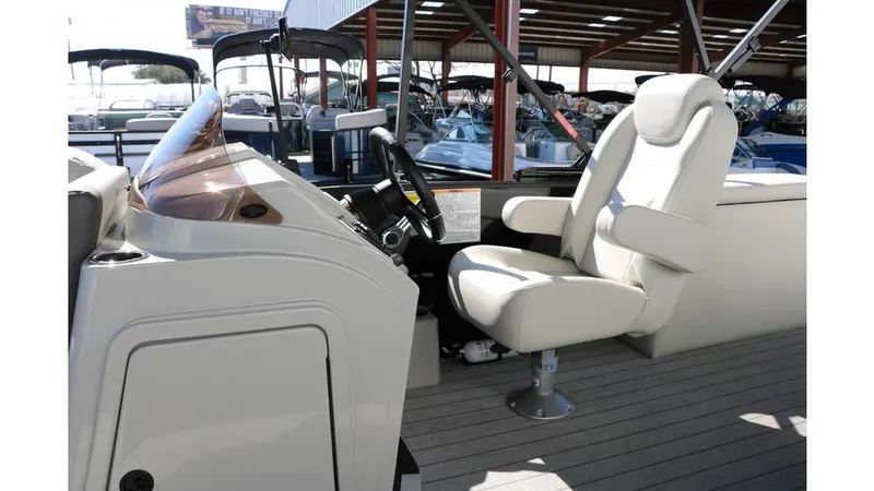 Slide: The Image of Sylvan Mirage X3 CLZ DH Tri Toon 2025 - 33