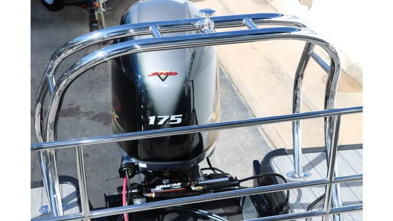 Slide: The Image of Sylvan Mirage X3 CLZ DH Tri Toon 2025 - 36