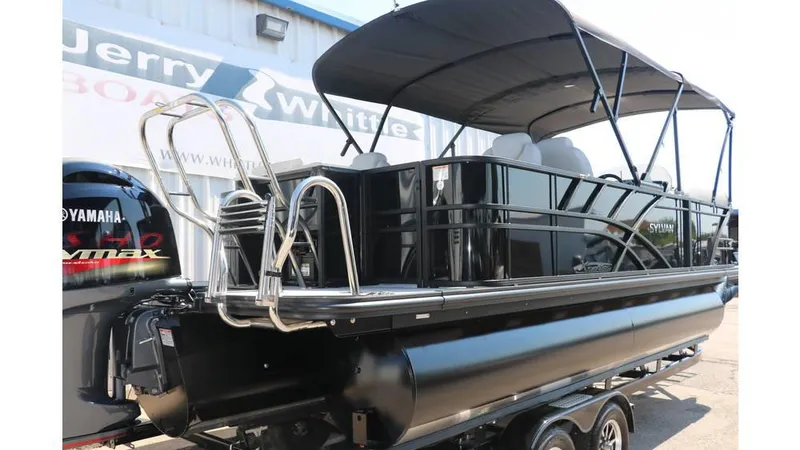 Slide: The Image of Sylvan Mirage X3 Party Fish Tri Toon 2025 - 4