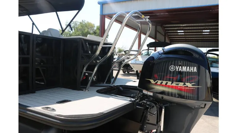 Slide: The Image of Sylvan Mirage X3 Party Fish Tri Toon 2025 - 7