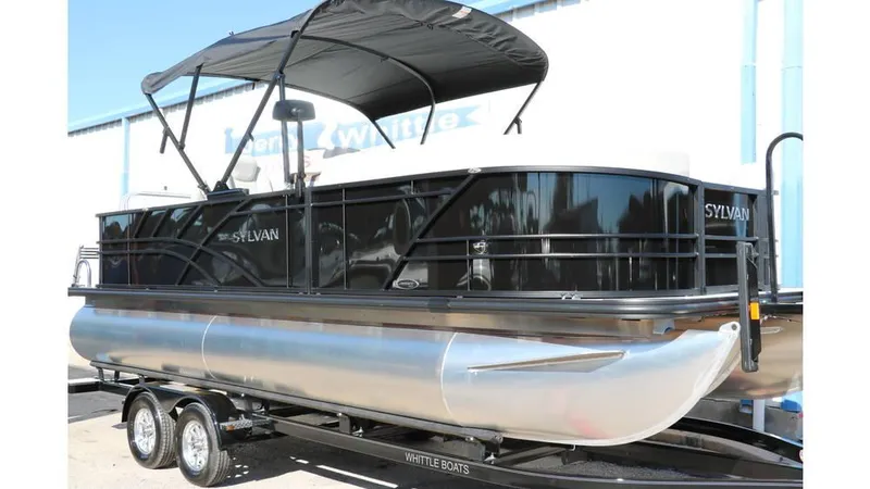 The Image of Sylvan Mirage 8522 Party Fish Tri Toon 2025 - 1