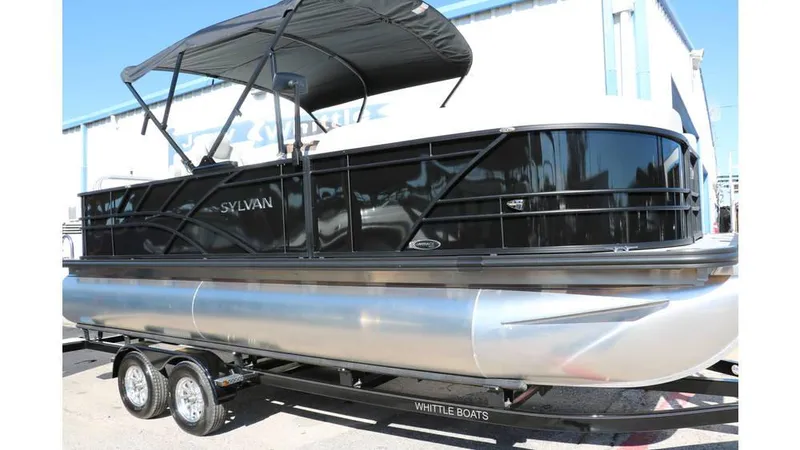 Slide: The Image of Sylvan Mirage 8522 Party Fish Tri Toon 2025 - 14