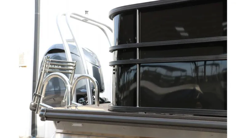 Slide: The Image of Sylvan Mirage 8522 Party Fish Tri Toon 2025 - 13