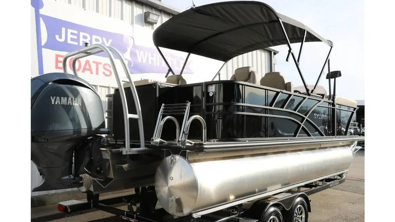 Slide: The Image of Sylvan Mirage 8522 Party Fish Tri Toon 2025 - 3