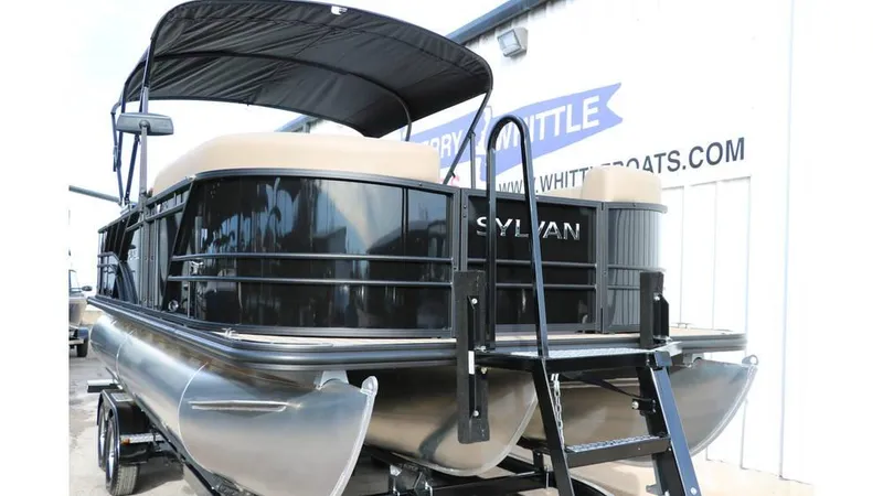 Slide: The Image of Sylvan Mirage 8522 Party Fish Tri Toon 2025 - 9