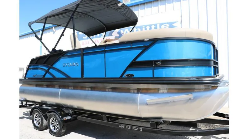 Slide: The Image of Sylvan Mirage X1 CLZ DH Tri Toon 2025 - 11