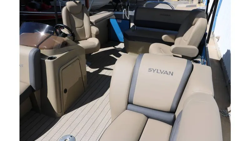 Slide: The Image of Sylvan Mirage X1 CLZ DH Tri Toon 2025 - 15