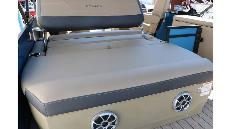 Slide: The Image of Sylvan Mirage X1 CLZ DH Tri Toon 2025 - 21