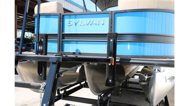 Slide: The Image of Sylvan Mirage X1 CLZ DH Tri Toon 2025 - 7