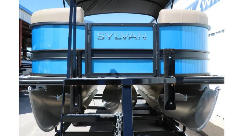 Slide: The Image of Sylvan Mirage X1 CLZ DH Tri Toon 2025 - 8