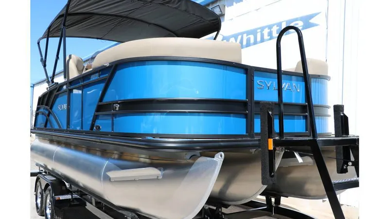 Slide: The Image of Sylvan Mirage X1 CLZ DH Tri Toon 2025 - 9