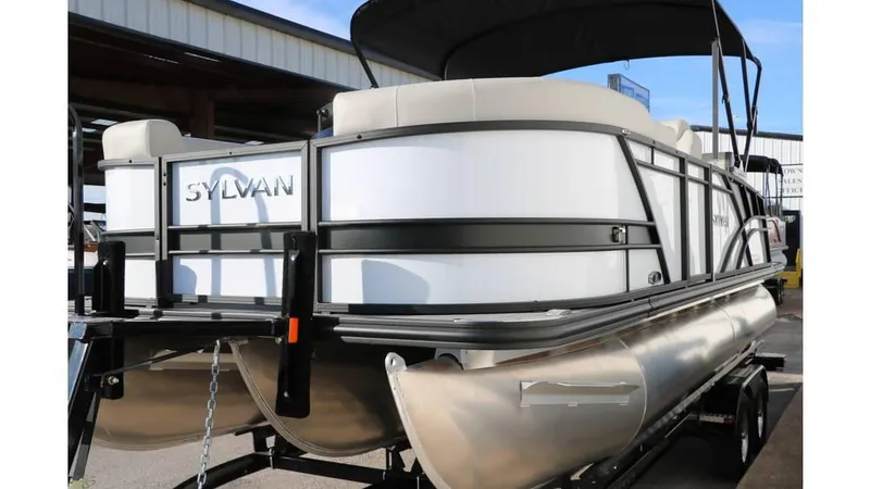 Slide: The Image of Sylvan Mirage X1 CLZ DH Tri Toon 2025 - 10