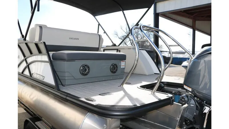 Slide: The Image of Sylvan Mirage X1 CLZ DH Tri Toon 2025 - 8