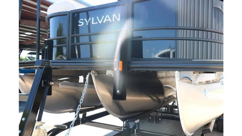 Slide: The Image of Sylvan Mirage X1 CLZ DH Tri Toon 2025 - 10