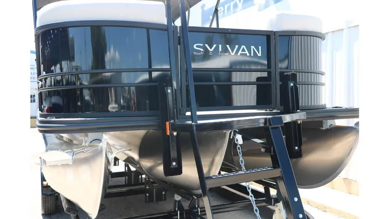 Slide: The Image of Sylvan Mirage X1 CLZ DH Tri Toon 2025 - 11