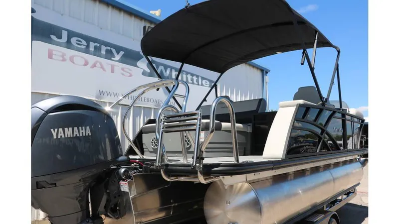 Slide: The Image of Sylvan Mirage X1 CLZ DH Tri Toon 2025 - 4