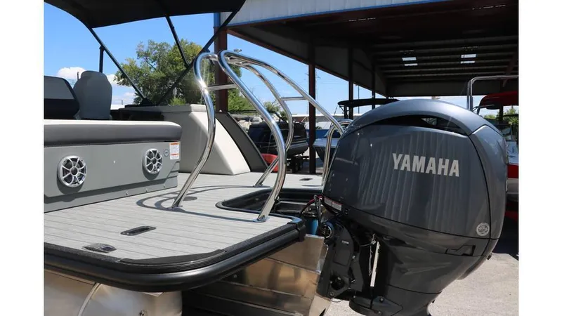 Slide: The Image of Sylvan Mirage X1 CLZ DH Tri Toon 2025 - 6