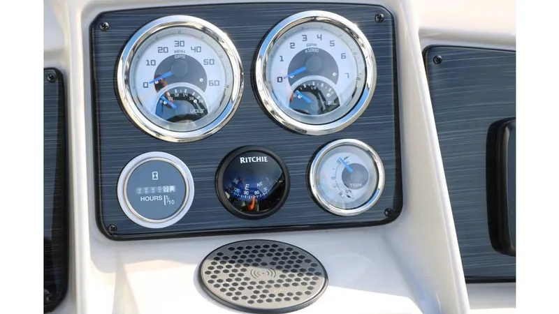 Slide: The Image of Sylvan Mirage 820 Party Fish Premium 2025 - 24