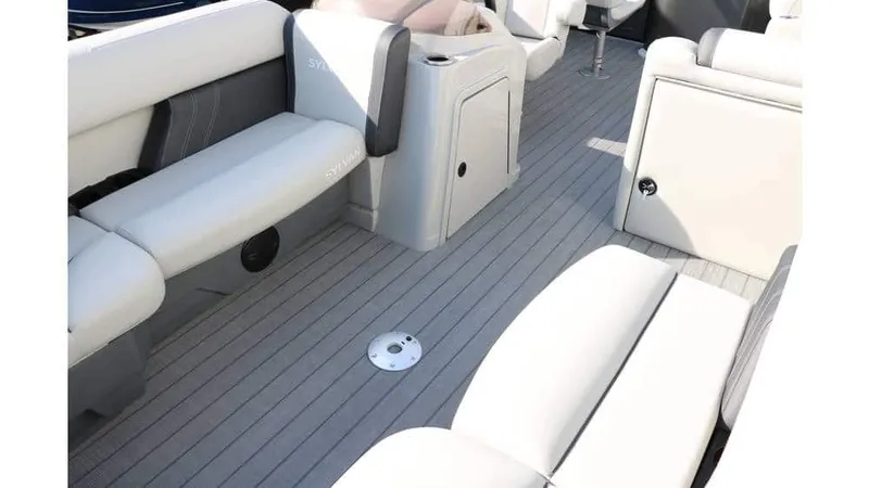 Slide: The Image of Sylvan Mirage 820 Party Fish Premium 2025 - 4