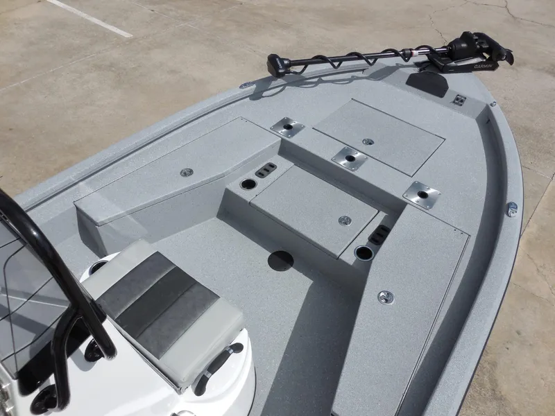 Slide: The Image of Vexus ACX 2000 2025 - 8