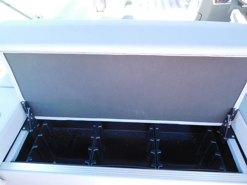 Slide: The Image of Bennington 23 SF 2025 - 12