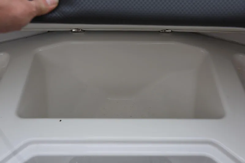 Slide: The Image of Scarab 255 Impulse 2017 - 63