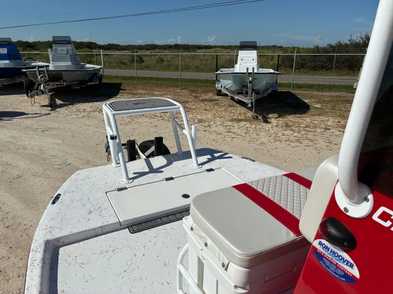 Slide: The Image of Freedom 14 CHIQUITA 2023 - 13