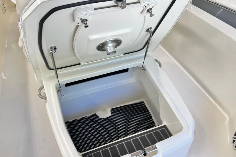 Slide: The Image of Open storage compartment on 2026 Boston Whaler 250 Dauntless boat. - 10