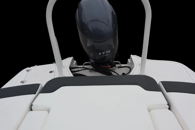 Slide: The Image of 2024 Chaparral 19 SSi OB boat with Yamaha 115 outboard motor, rear view. - 13