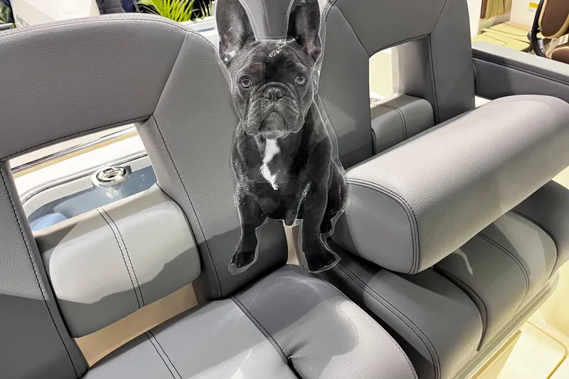 Slide: The Image of 2026 Boston Whaler 280 Outrage interior with a French Bulldog cutout on the seat. - 11