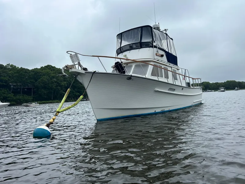 Slide: The Image of Monk 36 1998 - 86