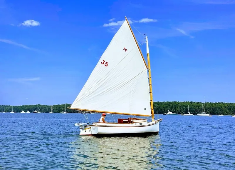 Slide: The Image of A 2007 Arey's Pond 16 sailboat on a calm lake under a clear blue sky. - 19