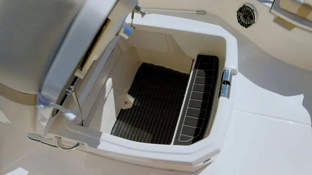 Slide: The Image of Boston Whaler 250 Dauntless 2026 - 21