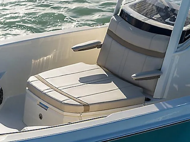 Slide: The Image of Boston Whaler 250 Dauntless 2026 - 4