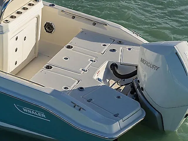 Slide: The Image of Boston Whaler 250 Dauntless 2026 - 5
