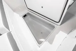 Slide: The Image of Regulator Marine 31 2026 - 22