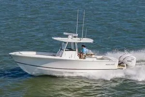 Slide: The Image of Regulator Marine 31 2026 - 4