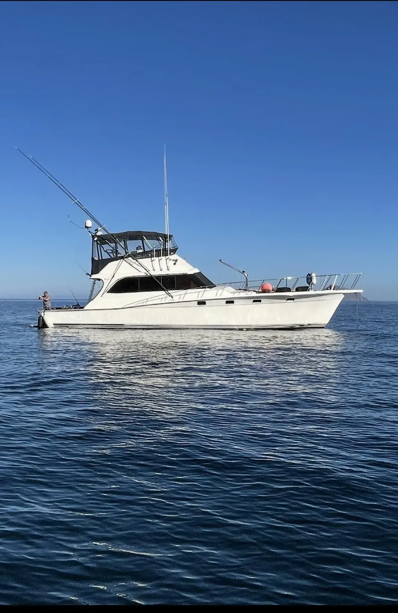 The Image of 1986 Egg Harbor SPORT FISHER yacht on calm ocean under clear blue sky. - 0