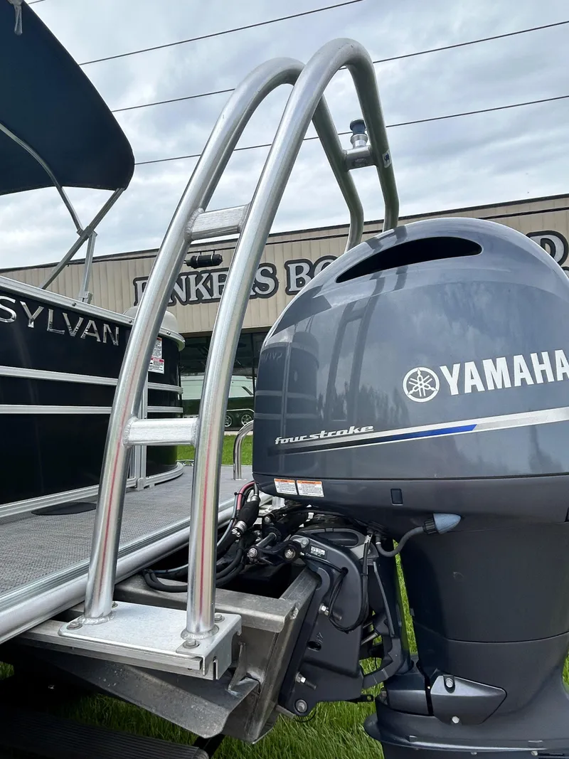 Slide: The Image of Sylvan 8522 Mirage LZ 2020 - 12