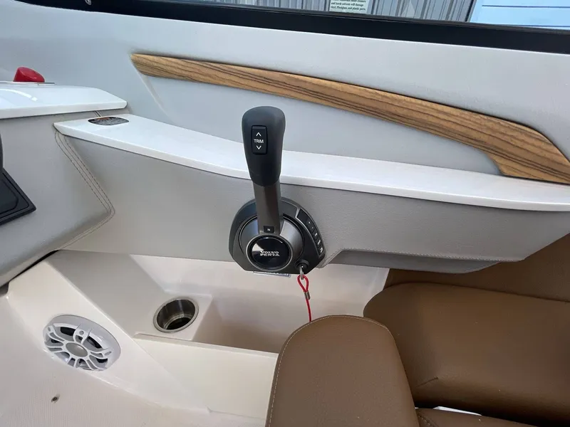 Slide: The Image of Regal LS9 2024 - 14